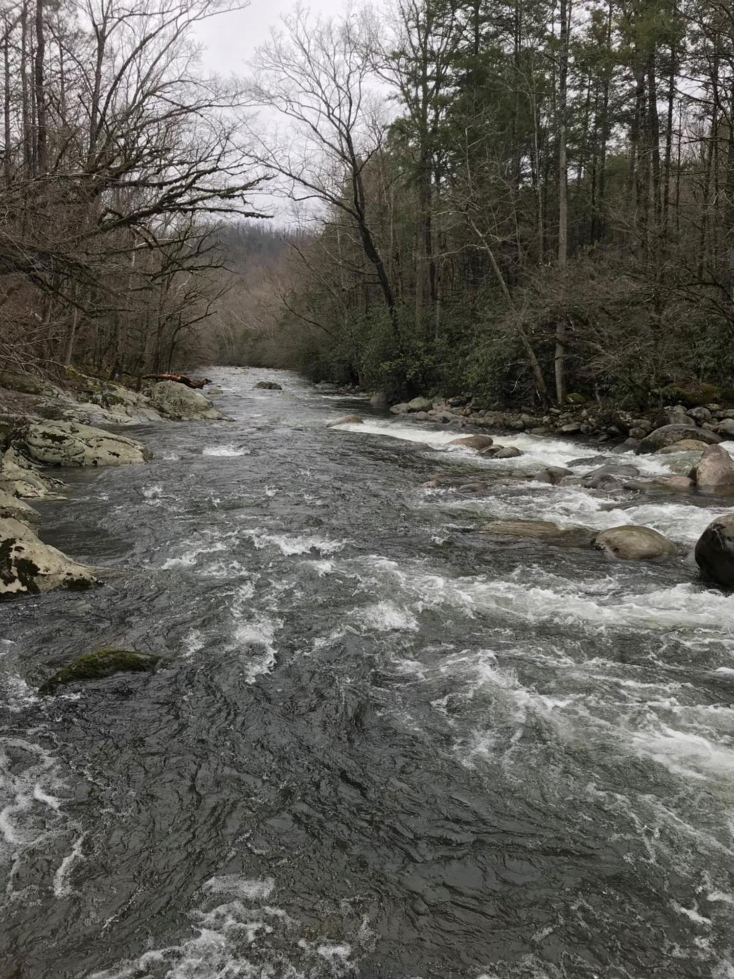 Cozy Cub, Breath Taking Mtn Views, Indoor Pool Apartment Gatlinburg Exterior photo